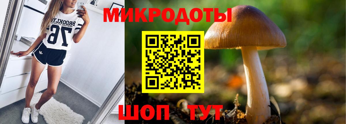 Псилоцибиновые грибы прущие грибы Алушта